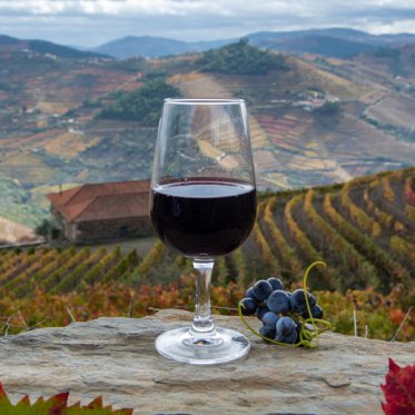 Late Bottled Vintage (LBV)