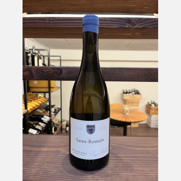 Louis Billard Saint Romain 2023